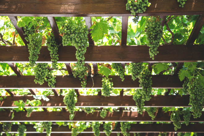 A Picture Says 1000 Words - How Your Restaurant Can Benefit